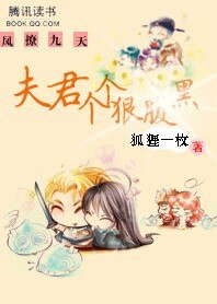 《凤撩九天:夫君个个狠腹黑》