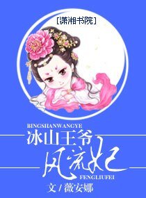 《冰山王爷风流妃》