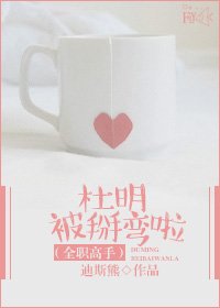 《(全职高手同人)(全职高手)杜明被掰弯啦》