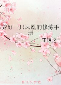 养好一只凤凰的修炼手册