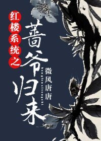《(红楼同人)红楼系统之蔷爷归来》