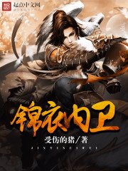 《锦衣内卫》