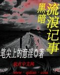 《黑暗流浪记事》