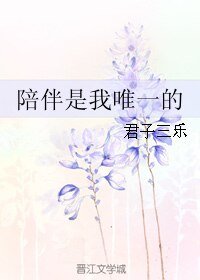 《(综同人)陪伴是我唯一的》