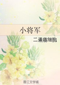 小将军