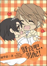 《贤良吧,男配!》