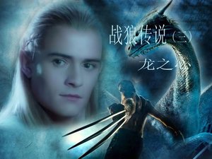 《(金刚狼+魔戒同人)战狼传说之龙之心》