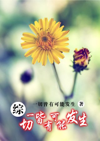 《(综同人)一切皆有可能发生》