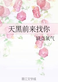 天黑前来找你
