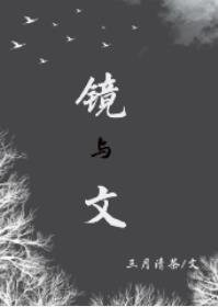 《镜与文》