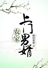 《农家上门男婿》