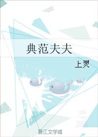 《典范夫夫》