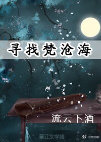 寻找梵沧海