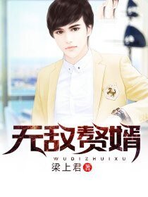 《无敌赘婿》
