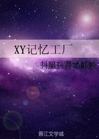 《XY记忆工厂》