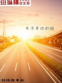 并不平坦的路