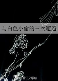 《(魔术快斗同人)与白色小偷的三次邂逅》