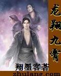 《龙翔九霄》
