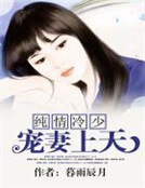 《纯情冷少宠妻上天》