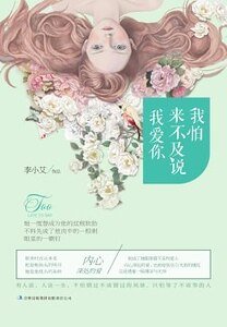 来不及说我爱你（精）