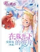 《在暮光下的彼岸》