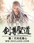 《剑尊圣道》