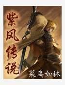《网游之紫风传说》
