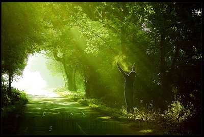 《尘路》