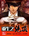 《重生之绝顶》