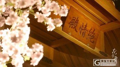 《(花千骨同人)花千骨之不负流年伴》