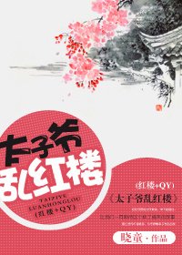 《(红楼同人)太子爷乱红楼》