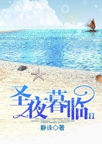 《圣夜暮临Ⅱ》