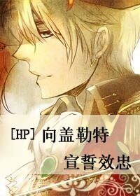 《(HP同人)向盖勒特宣誓效忠》