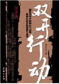 《双开行动》