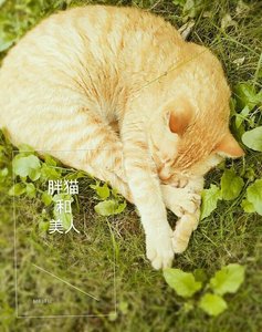 《胖猫和美人》