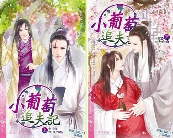 《小葡萄追夫记(出书版)》