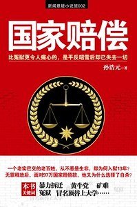 《国家赔偿(出书版)》