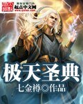 《极天圣典》