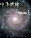 《中华武林妄想录》