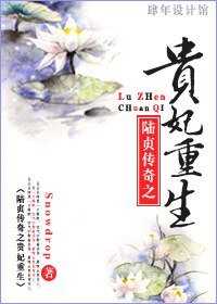 《(陆贞同人)贵妃重生》