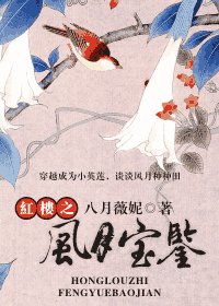 《(红楼同人)风月宝鉴》