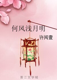 《何风浅月明》