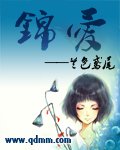 《锦爱》