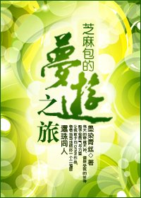 《(琼瑶同人)还珠之芝麻包的梦游之旅》