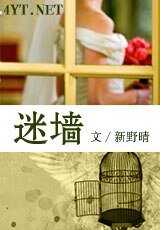 《迷墙》