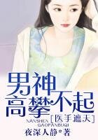 《医手遮天,男神高攀不起》