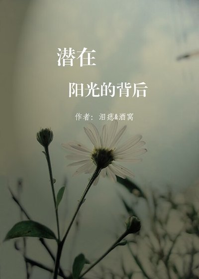 《潜在阳光的背面》