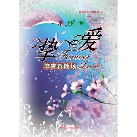 《挚爱(等青春散场)》