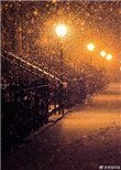 《在暴雪时分》