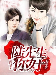 《陆先生,你好》